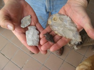 Points found at Hidden Falls Ranch