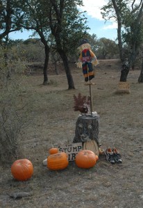 stump spirit 08_0089