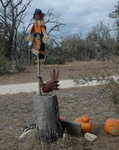 Turkey ScarecrowDSC_0096