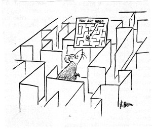 Feeling like this guy?