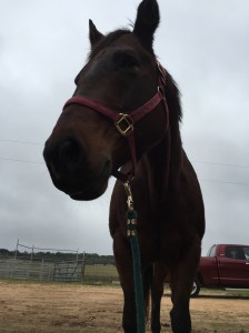 "I told you my back hurt."