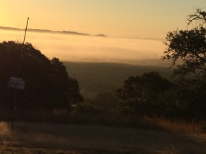 Looking off the hill of Medicine Spirit Ranch